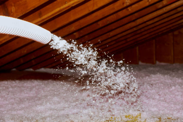Professional Insulation Contractor in Prosperity, WV