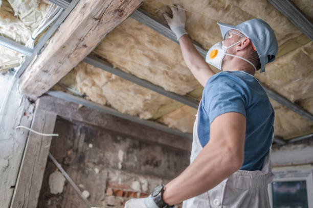Types of Insulation We Offer in Prosperity, WV