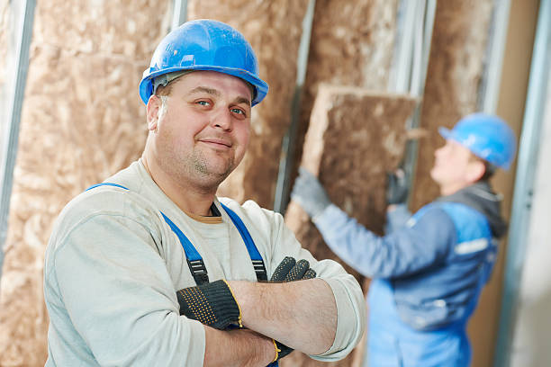 Best DIY Insulation Kits and Guidance in Prosperity, WV